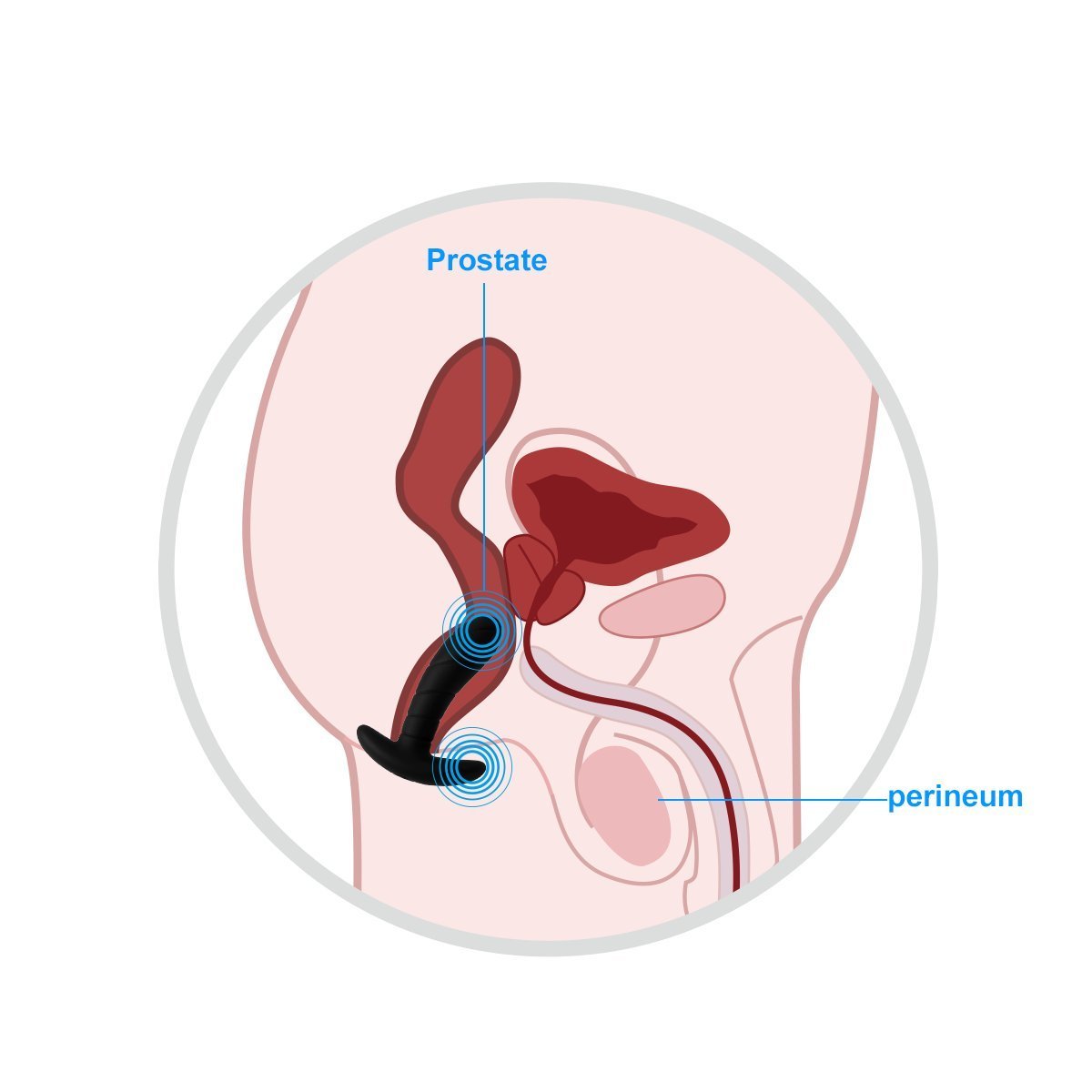 Mini Vibromasseur Stimulateur Prostate - introduction du plug anal
